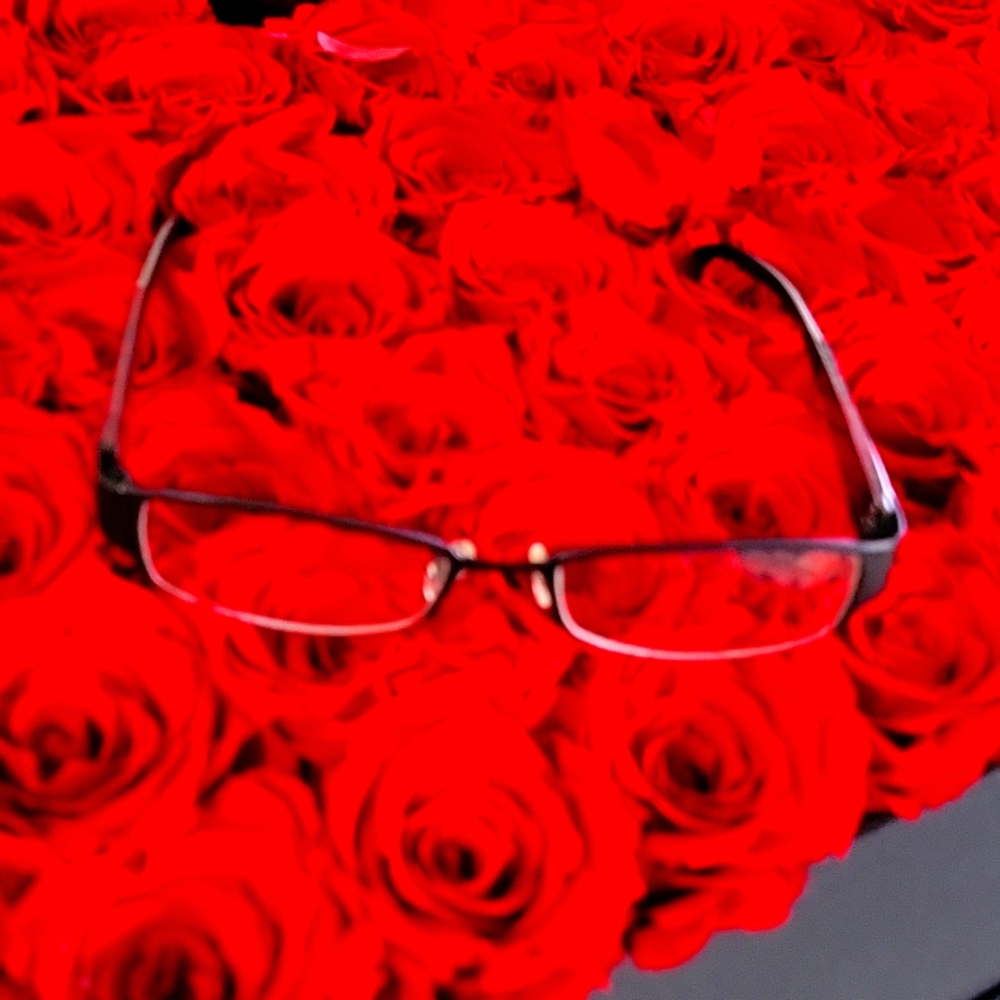 Mark Jacob prescription glasses